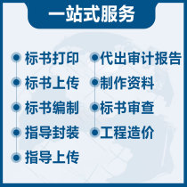 Tender production on behalf of the bidding documents project cost property bid on behalf of professional writing procurement sales bidding