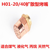 H01-20 welding gun acetylene single-hole propane gas liquefied natural gas Mayflower large number baking nozzle enlarged mouth