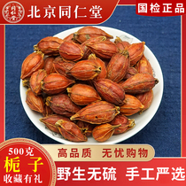 Tongrentang wild gardenia tea gardenia fruit tea mountain yellow Gardenia chicory red dry edible bulk 500g