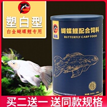 Butterfly carp special fish feed Platinum Dragon Phoenix white fish grain koi small floating ornamental fish carp