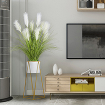 Reed grass simulation flower dog tail grass living room decoration TV cabinet ornaments dried flowers fake reed flowers large bouquet landing