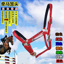 New PVC horse cage head harness accessories size pony dragon head cage reins fine riding equestrian supplies