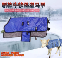 Calf vest calf vest warm plus velvet thickened cold-proof jacket calf insulated vest calf stomach protection