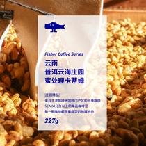 FISHERCOFFEE Yunnan Puer Yunhai Manor Honey Treatment Katim boutique hand-punched coffee beans N2