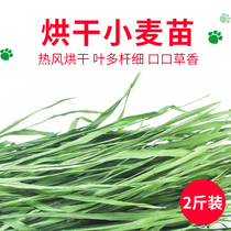 New grass rabbit wheat grass hay Hay rabbit Dutch pig Chinchow guinea pig feed forage grass grain grass grain 1000g