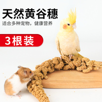 Parrot snacks natural yellow grain spike tiger skin Xuanfeng peony parrot feed bird food bird food training reward food