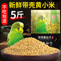 New yellow millet with Shell millet 5kg grain bird food bird food bird food Xuanfeng peony tiger skin small parrot feed