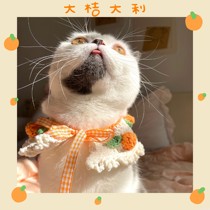 Original new handmade New Year cat dog collar crocheted wool strap cloak pet knitted scarf cute