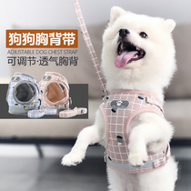 Pet cat and dog chest strap leash Teddy bats bear Bomei dog rope explosion-proof small dog vest style