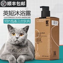 Cat pet cat English short shower gel blue cat acaricidal bacteria cat flea special bath liquid bath shampoo