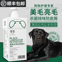 Black Labrador dog special dog shower gel Sterilization deodorant antipruritic Pet bath products Shampoo bath liquid