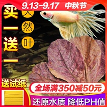 Lam leaf beetle fish tank acid lowering pH regulator Aquatic liquid turtle olive leaf tea bag low