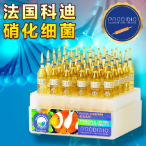 French Cody nitrifying bacteria fish tank digestive bacteria food water quality trace elements aquarium fish farming water