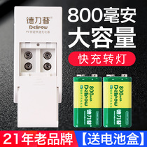 Delip 9V battery charger multimeter microphone guitar square square nine volt usb rechargeable lithium battery