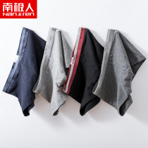 Teen panties Male development period cotton boxer shorts 12 junior high school 13 big children 14 students 15 boys 16 years old cotton