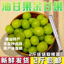 Chaoshan fresh seasonal oil Gan Guo Yu Gan Guo Niu Gan Guo Dian olive Sweet oil citrus juiced Back gan Yu oil citrus