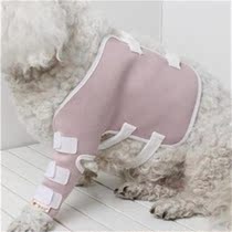 Dog paralysis hindlimb wheelchair hind leg disability assisted rehabilitation car bracket broken leg Y big puppy walking