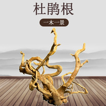 Rhododendron root aquarium landscaping sink wood cook-free decorative ornaments Large Moss tree welcome pine tree-shaped ecological tank branches