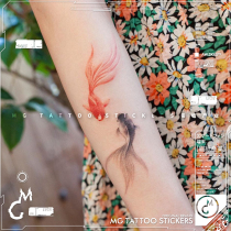 MG tattoo plain elegant national style koi goldfish pattern literary girl small fresh waterproof tattoo sticker