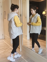 Spring and Autumn 2021 New Korean version of womens short waistcoat down cotton vest autumn and winter horse jacket