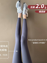 Hong Kong shark skin pant underpants woman outside wearing autumn thin stretch yoga pants with slim leg pressure 90% Barbie pants