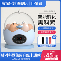 Incubator 1 chicken water bed incubator small household child incubator mini automatic incubator