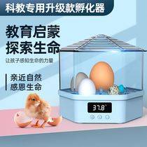  Egg hatcher 1 chicken incubator Small household childrens hatching machine waterbed mini automatic hatching box