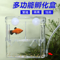 Guppies breeding box Fish tank isolation box size fish spawning incubator tropical fish spawning room ovipositor breeding box