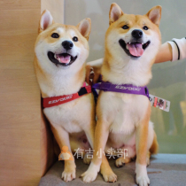 EZYDOG Chest Braces Pet Dogs Quick Sets Firewood Dogs Vest Type Neck Cover Explosion Protection Flush Comfort Easy To Wear