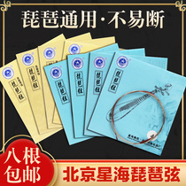 (Xinghai professional pipa string) Xinghai Pipa 1 2 3 4 strings Pipa loose string set string Deyin Winding Strings
