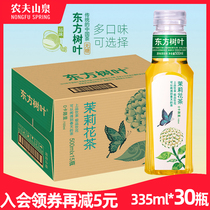 Nongfu Spring Oriental leaves Sugar-free tea drink Black Tea Jasmine Tea Oolong Tea 500ml*15 bottles full carton
