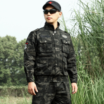 Camouflage suit mens spring and autumn genuine pure cotton labor insurance womens army fan men wear-resistant overalls Team building clothes