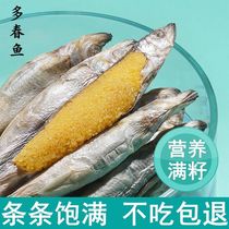 Pet cat snacks multi-spring fish freeze-dried full-seed small fish nutrition fattening cat food calcium-free salt-free kitten food