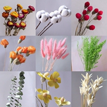 Multi-variety Yunnan dried flower real flower free with pineapple chrysanthemum pistachio Violet heart cotton bouquet home