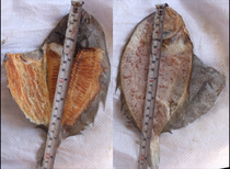 Dried earth fish flat fish light sun dried goods 500g