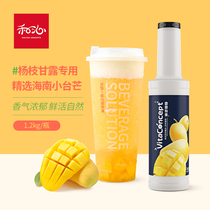 Mango thick pulp fruit puree Taiwan agricultural jam Yang Zhi Gan Lu milk tea shop special raw material concentrated juice baking shaved ice