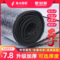 Moisture-proof mat thickened outdoor tent camping aluminum film sleeping mat wild floor mat picnic mat home floor mat