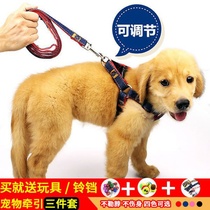 Dog chain dog leash strap breast strap dog rope walking dog rope Teddy golden hair big small and medium dog pet supplies