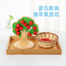 Childrens Montessori early education educational toys Kindergarten hand-eye coordination Magnetic apple wood toys Montessori teaching aids
