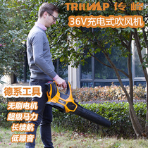 Fengfeng portable rechargeable industrial hair dryer high-power electric wireless leaf blowing machine Lithium electric road Blower
