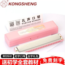 Swan Kong Sound Harmonica Childrens Beginner Students use 24 holes C to adjust the polyphonic pink girl kindergarten piano