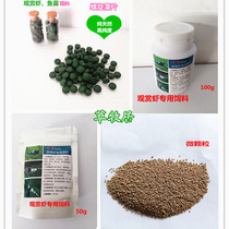 Ornamental shrimp and shrimp grain spirulina flakes fish grain crystal shrimp cherry blossom shrimp feed black shell shrimp extreme fire shrimp grain patch fish grain
