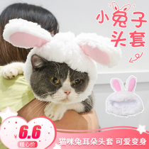 Net Red pet cat rabbit ear head cover rabbit cat cat hat cute birthday decorations headgear dress