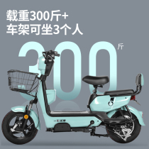 Wuyang set sail electric bicycle new national standard 48V small parent-child model car car male and female adult tram