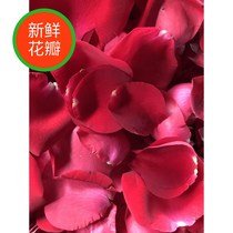 Base straight hair 520g fresh real rose petals proposal ceremony arrangement Birthday Bubble Bath Bath spa Hot Spring