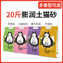 Pet cat litter bentonite cat litter Blue cat beautiful short muppet cat Silver gradient orange cat Pastoral cat 10 kg 20 kg