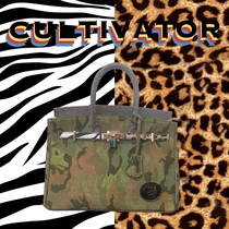 Cultivator original street trend zebra BAO WEN texture fan ancient cloth watercolor wash canvas platinum Hand bag