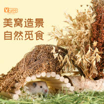 2021 new hamster valley scion snacks grinding tooth stick decorated with view items Golden Silk Bear Flowers and Nourishing Grain