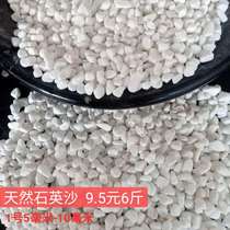 Pure white quartz sand trash can fish tank bottom sand ash sand landscaping white sand pebble decorative sand
