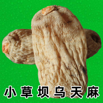 Zhaotong imitation wild Gastrodia elata dry goods 500g non-grade Yunnan Shao Tong Xiaokaaba Wutianma sliced hemp powder